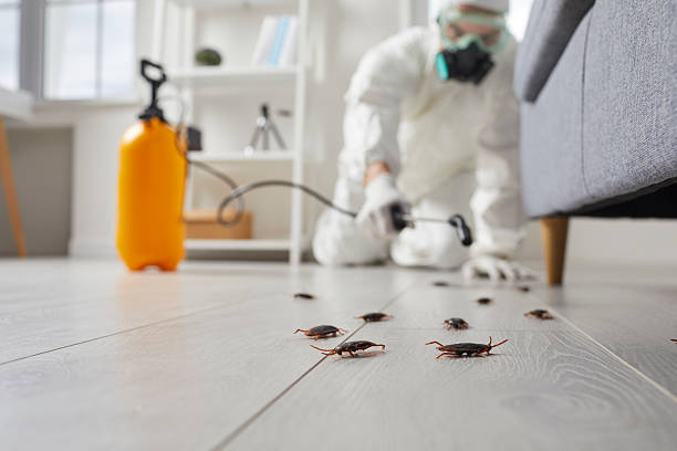 Post-Treatment Bed Bug Interceptor Monitoring in Conyers