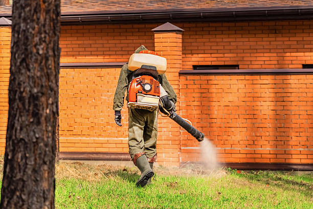 Bed Bug Clearance Verification and Documentation in Conyers